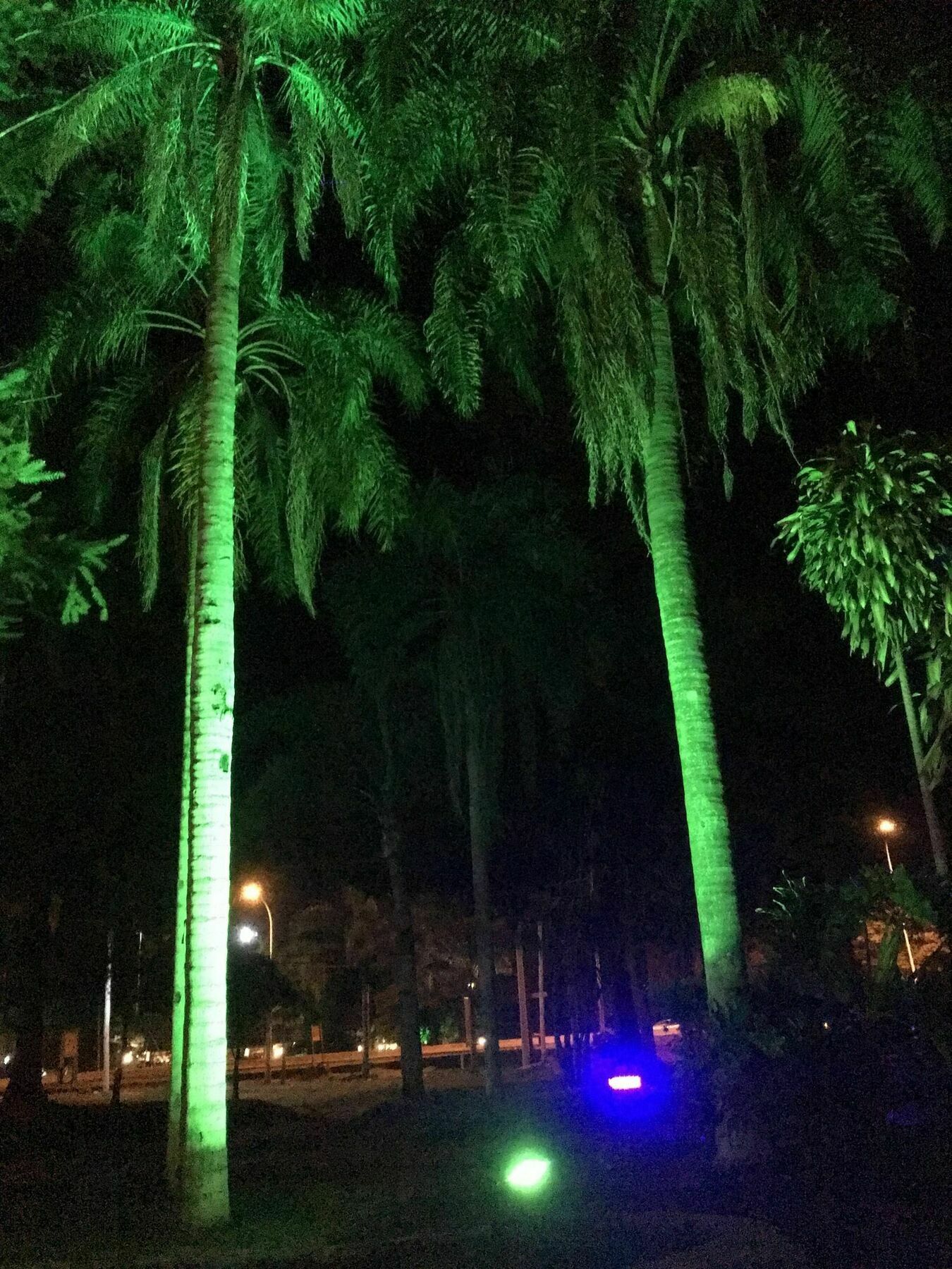 Tangoinn Club Iguazu Party Luxury Hostel Puerto Iguazú Kültér fotó